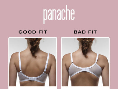 THE COMPLETE BRA FITTING GUIDE